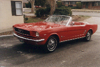 Picture of our Mustang - Click for larger image