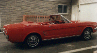 Picture of our Mustang - Click for larger image